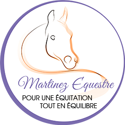 cours equitation particuliers 35 50
